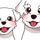 꽃길만 걷게 해줄'개' 이미지