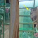 냥냥살롱 이미지