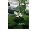 지엘티법률세무회계사무소