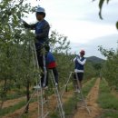 (주)우리농수축산티브이