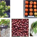 아라리축산 이미지