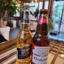 라떼아트 카페메뉴(야간) 이미지