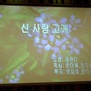 신 사랑 고개 ~ 가사 ♣ 이미지