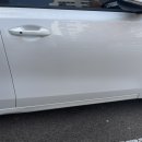 명품덴트칼라 이미지