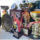 빛나는태권도장 이미지