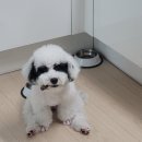 [제주 인기 소품샵 투어] 도두슈퍼마켓, 담꼬, 오리오리, 라봉상회, 세컨드