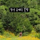 숲속의아침(선유원) 이미지