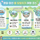 영월동강공인중개사사무소 | 봄날의 강원도 당일치기 | 영월 청령포·관광센터·카페올라 + 정선 병방치까지 완벽 코스 후기