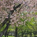 몽키2 PC방 이미지