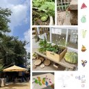 한미유치원 이미지