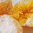 지우네 농장 이미지