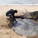 카페오수 이미지