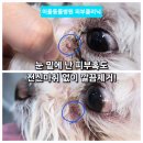 이을동물병원 이미지