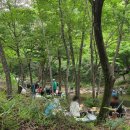 대전 근교 계곡 <금산산림문화타운 남이자연휴양림> 7, 8월 여름 가족 물놀이 당일치기(평상 예약, 매점...