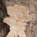 은평-034 이미지