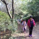 청학초등학교 이미지