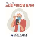 노안백내장 수술 잘하는곳 이미지