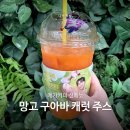 구아바쥬스 | 메가커피 망고 구아바 캐럿 주스 후기, 칼로리 당류 정보