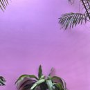 스파카인드 이미지