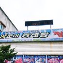 양푼이 동태탕 이미지