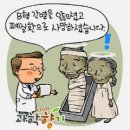 미라채소