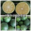 훈 농장 이미지