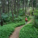 2016년 1월 16일(토)~17일(일)[해파랑길 이어걷기 3차]부산에서 고성까지 770km/5코스~6코스(진하해변~덕하역~태화강전망대) 이미지