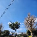 표선가시리민박 이미지