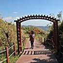 장군태양광발전소2 이미지