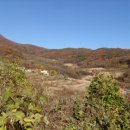 로하스밸리 이미지