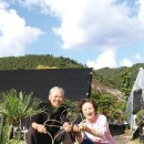 연리지농장 이미지