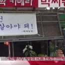 박씨농장 2 네이버블로그