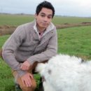 컨츄리Dog 이미지