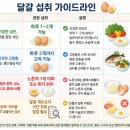 달걀, 하루 몇 개까지 괜찮을까? 이미지