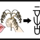 상생-돛으로부터 | 작명은 어설픈 술사보다 AI(제미나이, 지피티)가 정확하다.