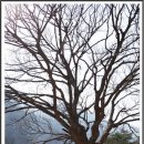 동해조선 이미지