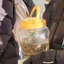 중흥낚시터 도로변 화장실 | 경북 영양 꽁꽁 겨울축제 -경북 겨울 아이와 가볼만 한 곳 (겨울 눈놀이 최강자 )