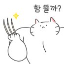갈매기리조트 네이버블로그