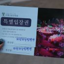 파란하늘빛 펜션 이미지