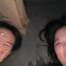 올드 트리 이미지