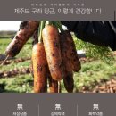 영농조합법인 그린제주 이미지