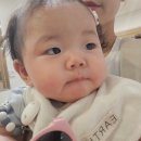 파주 오두산 통일전망대 방문기 아이랑 가볼만한곳