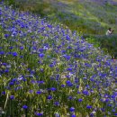 이목리 제방 이미지