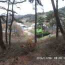 치악농장 이미지