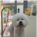 사계절, 멍 이미지