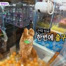 뽑기의 달인 이미지