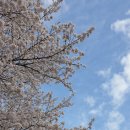 송해보건지소 이미지