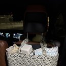 스트롤러 | 프레젠트프로젝트 프프 스트롤러백 사용 후기