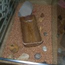 새한미마트 이미지