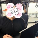 동일리-4 | 11월 3박 4일 제주여행 서귀포 숙소추천, 블루엘리펀트 후기